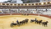 La Malagueta Bullring